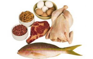 proteinhaltige Lebensmittel