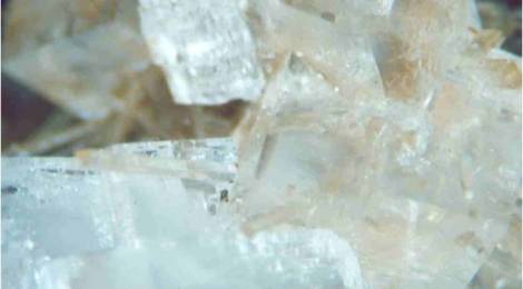 Schüssler Salz Nr. 5  Kalium phosphoricum