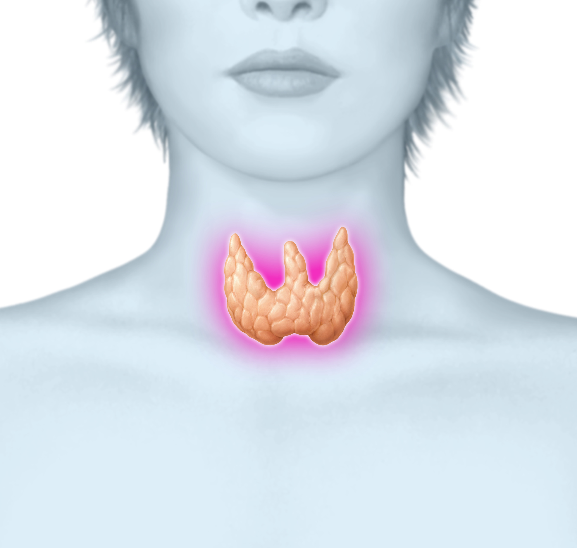 Hashimoto Thyreoiditis Symptome und Behandlung