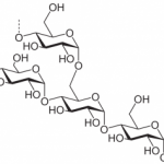 Kohlenhydrate