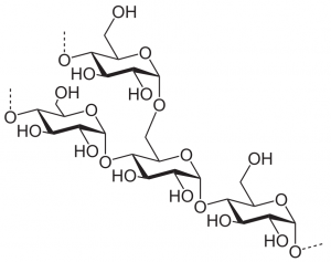 Kohlenhydrate